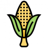 Maize - Corn Drinks in United States