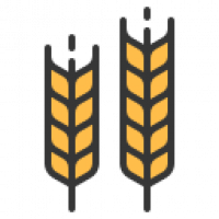 Barley-based Drinks in United Kingdom