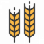 Barley-based Drinks