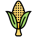 Corn.png