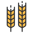 Barley.png